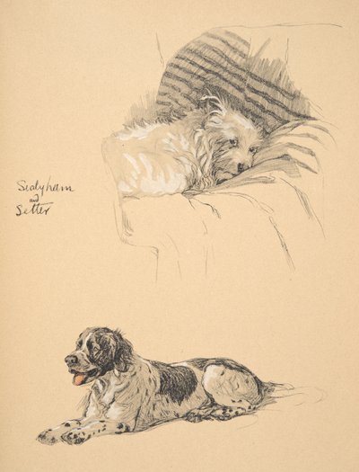 Sealyham und Setter, 1930, Illustrationen aus seinem Skizzenbuch verwendet für 